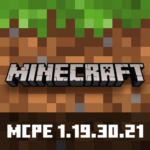 Minecraft 1.19.30.21