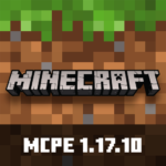 Minecraft 1.17.10