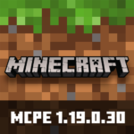 Minecraft 1.19.0.30