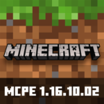 Minecraft 1.16.10