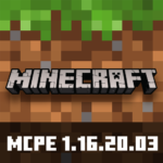 Minecraft 1.16.20