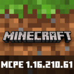 Minecraft 1.16.210.61