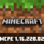 Minecraft 1.16.220