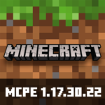 Minecraft 1.17.30.22