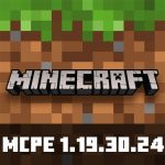 Minecraft 1.19.30.24